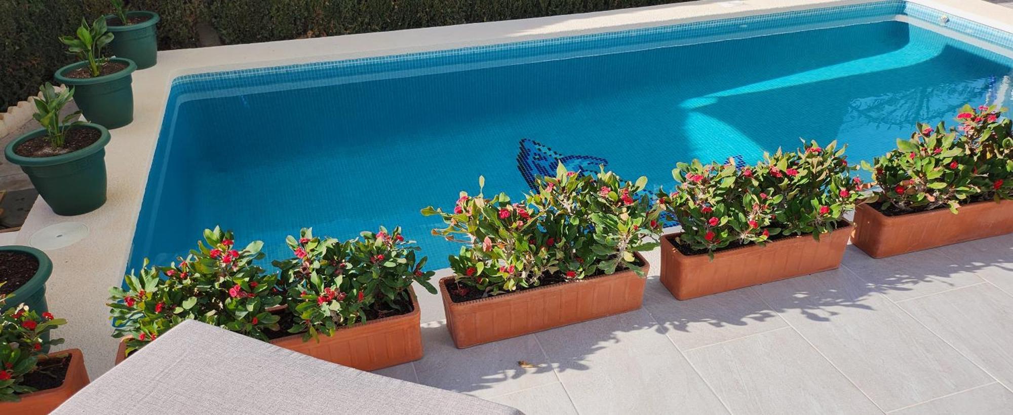San Fulgencio Las Mariposas מראה חיצוני תמונה
